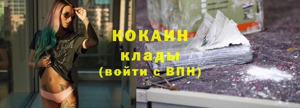 винт Пересвет