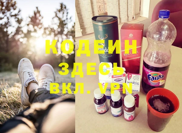 экстази Галич