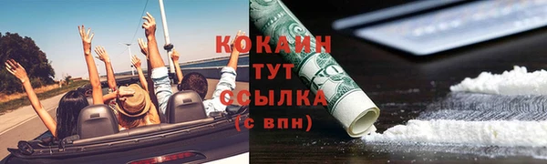 гидра Пестово
