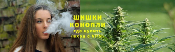 гидра Пестово
