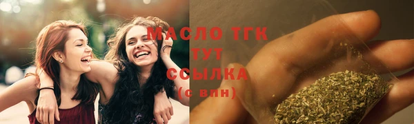 винт Пересвет