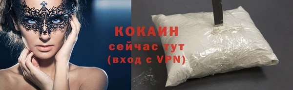 гидра Пестово