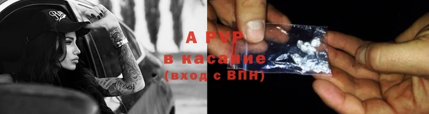 гидра Пестово
