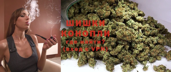 винт Пересвет