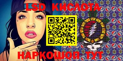 МДПВ Камышлов