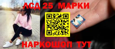 МДПВ Камышлов