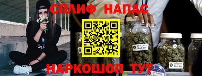 МДПВ Камышлов