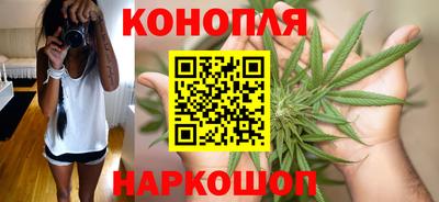 прущие грибы Канаш