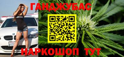 прущие грибы Канаш