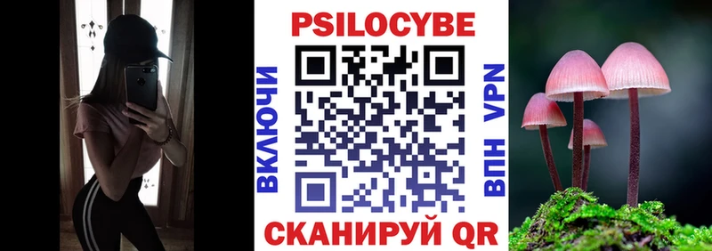 магазин продажи   Прокопьевск  площадка формула  Галлюциногенные грибы Psilocybe 
