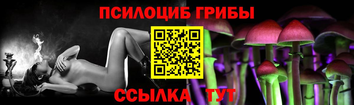 Псилоцибиновые грибы MAGIC MUSHROOMS  Вход с VPN  Прокопьевск  Галлюциногенные грибы прущие грибы 